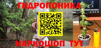 PSILOCYBIN Донецк