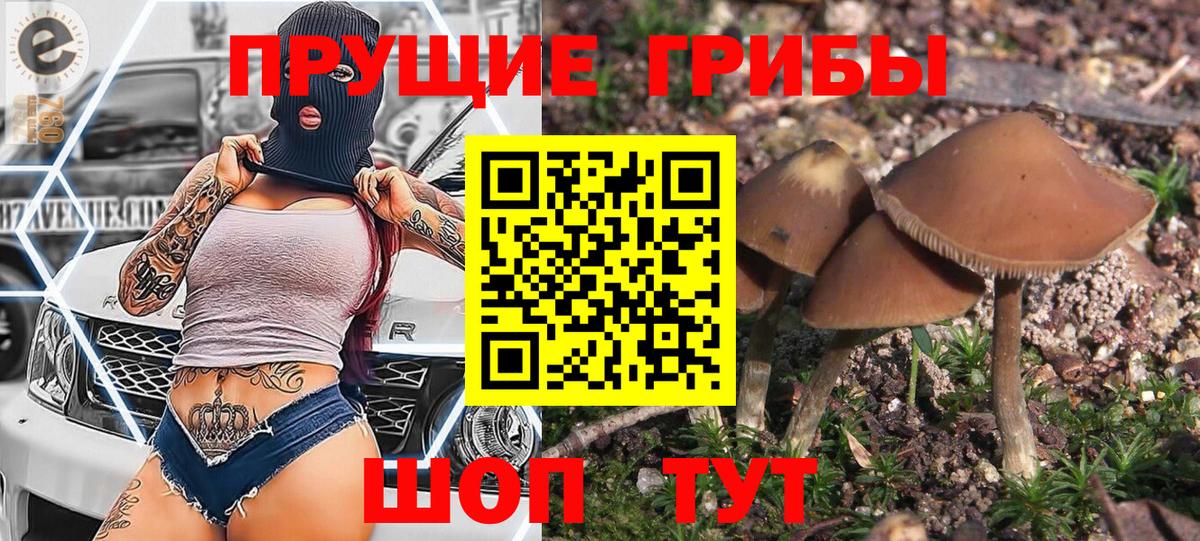 Миллерово  купить закладку  Вход с VPN  Галлюциногенные грибы GOLDEN TEACHER 