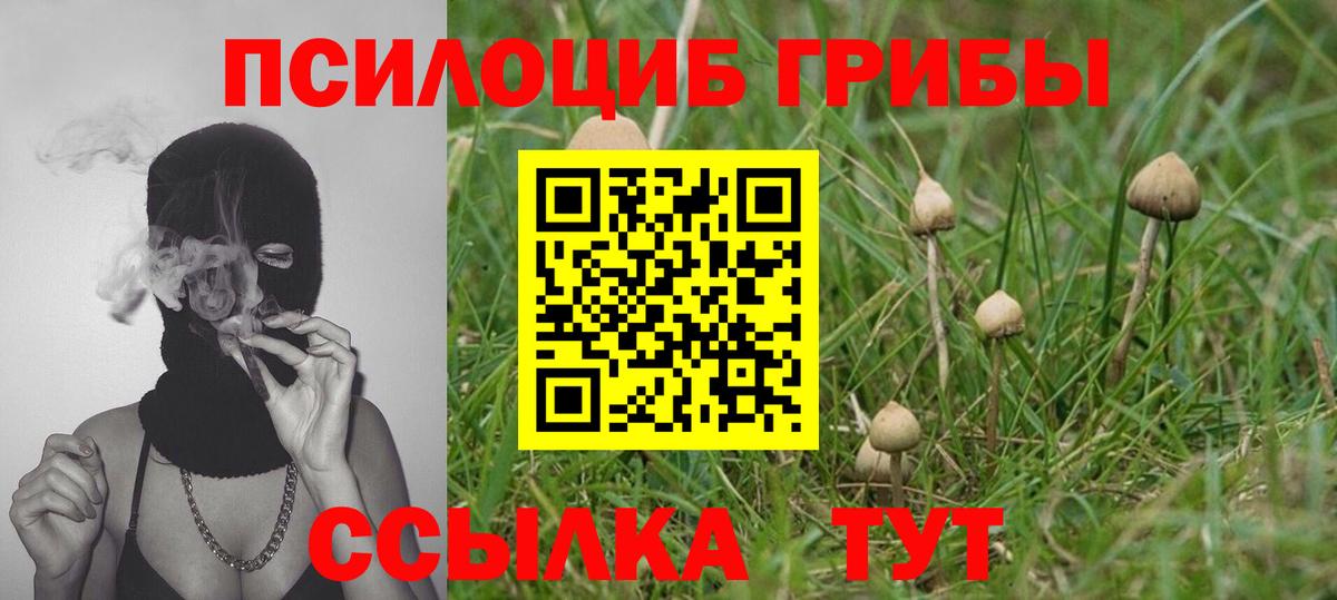 Галлюциногенные грибы GOLDEN TEACHER Миллерово